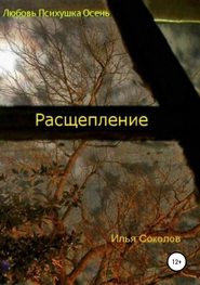 бесплатно читать книгу Расщепление автора Илья Соколов
