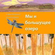 бесплатно читать книгу Мы и большущее озеро автора Софья Яковлева