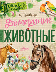 бесплатно читать книгу Домашние животные автора Александр Тамбиев