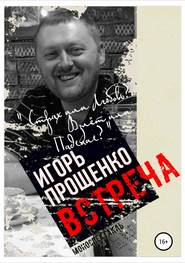 бесплатно читать книгу Встреча автора Игорь Прощенко