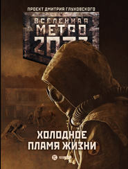 бесплатно читать книгу Метро 2033: Холодное пламя жизни (сборник) автора Игорь Вардунас