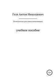 бесплатно читать книгу Политология для самых начинающих автора Антон Геля