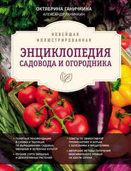 бесплатно читать книгу Новейшая иллюстрированная энциклопедия садовода и огородника автора Александр Ганичкин