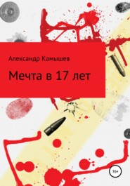 бесплатно читать книгу Мечта в 17 лет автора Александр Камышев