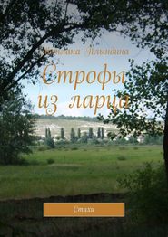 бесплатно читать книгу Строфы из ларца. Стихи автора Светлана Плындина