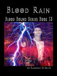 бесплатно читать книгу Blood Rain автора Amy Blankenship