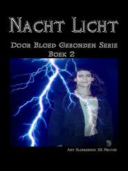 бесплатно читать книгу Nacht Licht автора Amy Blankenship
