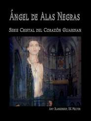 Ángel De Alas Negras