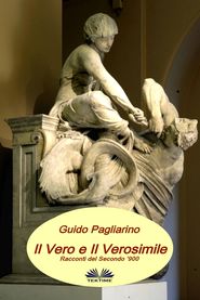 бесплатно читать книгу Il Vero E Il Verosimile автора Guido Pagliarino