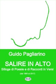 бесплатно читать книгу Salire In Alto автора Guido Pagliarino