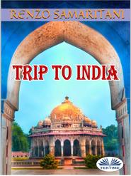 бесплатно читать книгу Trip To India автора Renzo Samaritani