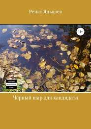 бесплатно читать книгу Чёрный шар для кандидата автора Ренат Янышев
