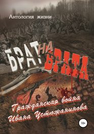бесплатно читать книгу Брат на брата автора Геннадий Дёмочкин