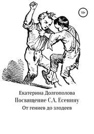 бесплатно читать книгу Посвящение С.А. Есенину автора Екатерина Долгополова