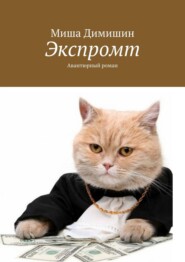 бесплатно читать книгу Экспромт. Авантюрный роман автора Миша Димишин