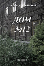 бесплатно читать книгу Дом №12 автора Александр Олейников