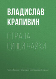 бесплатно читать книгу Страна Синей Чайки автора Владислав Крапивин