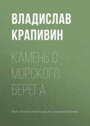 бесплатно читать книгу Камень с морского берега автора Владислав Крапивин