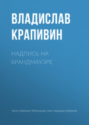 бесплатно читать книгу Надпись на брандмауэре автора Владислав Крапивин