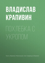 бесплатно читать книгу Похлебка с укропом автора Владислав Крапивин