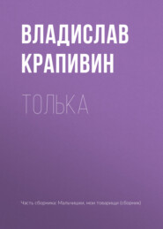 бесплатно читать книгу Толька автора Владислав Крапивин