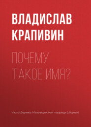 бесплатно читать книгу Почему такое имя? автора Владислав Крапивин