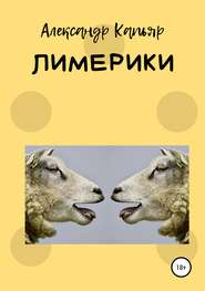 бесплатно читать книгу Лимерики автора Александр Капьяр