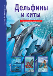 бесплатно читать книгу Дельфины и киты автора Юлия Дунаева