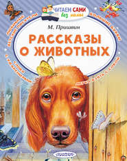 бесплатно читать книгу Рассказы о животных автора Михаил Пришвин