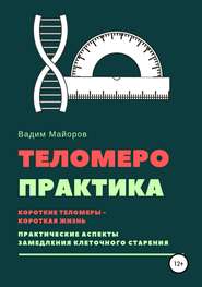 бесплатно читать книгу Теломеро-практика автора Вадим Майоров