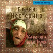 бесплатно читать книгу Баба Яга всея Руси автора Елена Нестерина