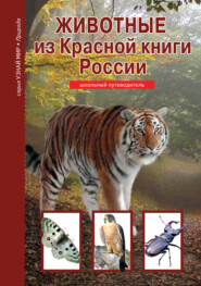бесплатно читать книгу Животные из Красной книги России автора Юлия Дунаева