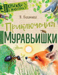 бесплатно читать книгу Приключения Муравьишки (сборник) автора Виталий Бианки