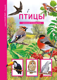 бесплатно читать книгу Птицы автора Юлия Дунаева
