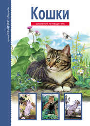 бесплатно читать книгу Кошки автора Сергей Афонькин