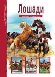 бесплатно читать книгу Лошади автора Сергей Афонькин