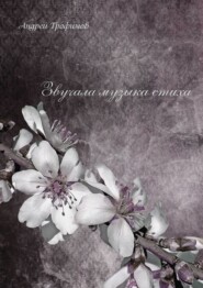 бесплатно читать книгу Звучала музыка стиха автора Андрей Трофимов