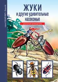 бесплатно читать книгу Жуки и другие удивительные насекомые автора Сергей Афонькин