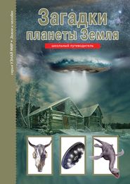 бесплатно читать книгу Загадки планеты Земля автора Сергей Афонькин