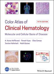 бесплатно читать книгу Color Atlas of Clinical Hematology. Molecular and Cellular Basis of Disease автора Elias Campo