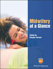 бесплатно читать книгу Midwifery at a Glance автора Eleanor Forrest