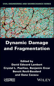бесплатно читать книгу Dynamic Damage and Fragmentation автора Oana Cazacu