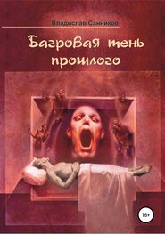 бесплатно читать книгу Багровая тень прошлого автора Владислав Санников