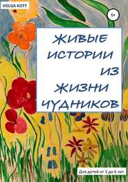 бесплатно читать книгу Живые истории из жизни чудников автора Volga Kott