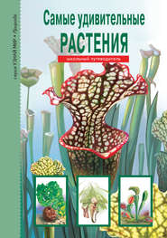бесплатно читать книгу Самые удивительные растения автора Сергей Афонькин
