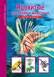 бесплатно читать книгу Ядовитые растения и животные автора Сергей Афонькин