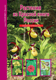 бесплатно читать книгу Растения из Красной книги России автора Сергей Афонькин