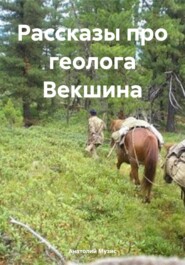 бесплатно читать книгу Рассказы про геолога Векшина автора Анатолий Музис