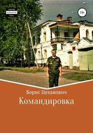 бесплатно читать книгу Командировка автора Борис Цеханович