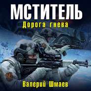 бесплатно читать книгу Мститель. Дорога гнева автора Валерий Шмаев